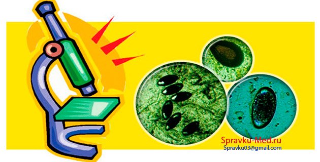 Анализ кала Анализ кала