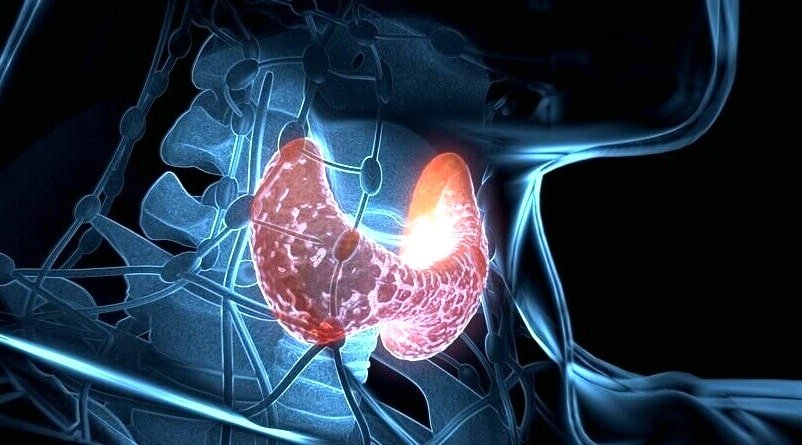 Купить справку от эндокринолога