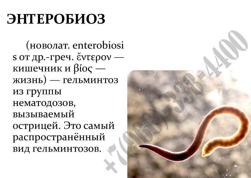 Купить анализ кала на энтеробиоз срочно с доставкой